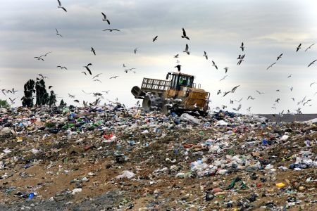 Nasce un gruppo di coordinamento che affronterà la situazione in cui versa il Cub Napoli-Caserta