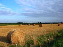 Celebrata a Bellona e Triflisco la 62° “giornata agricola del ringraziamento”